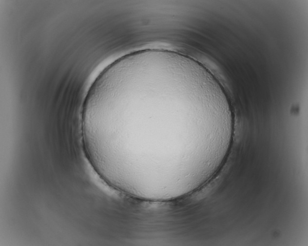 X0000113220808200910081340