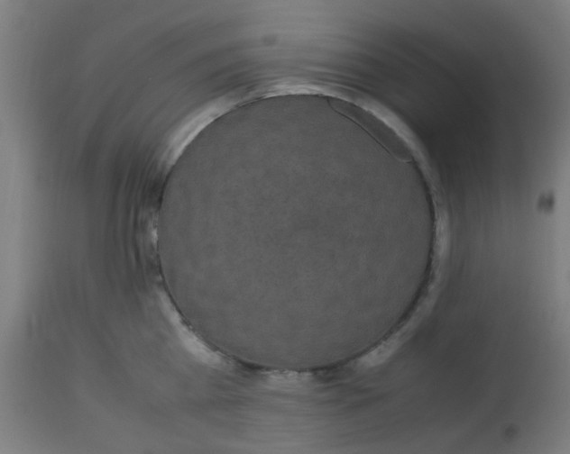 X0000113220809200910081340