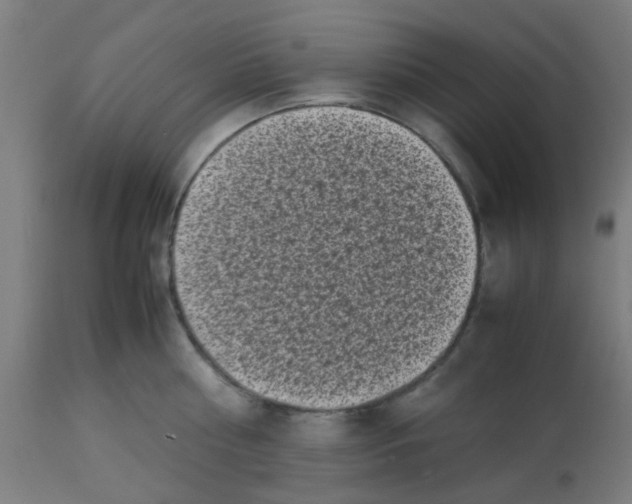 X0000113220810200910081340