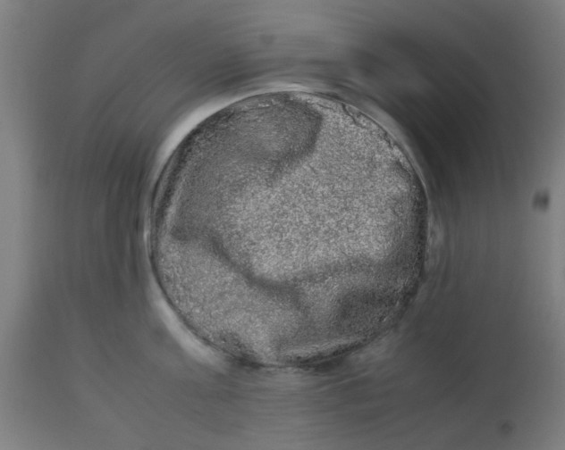 X0000113220811200910081340