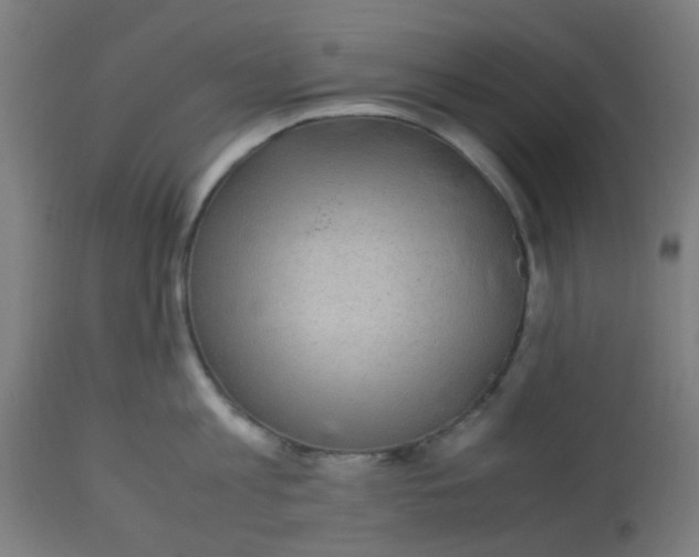 X0000113220813200910081340
