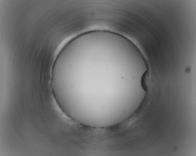 X0000113220815200910081340