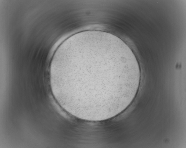 X0000113220816200910081340