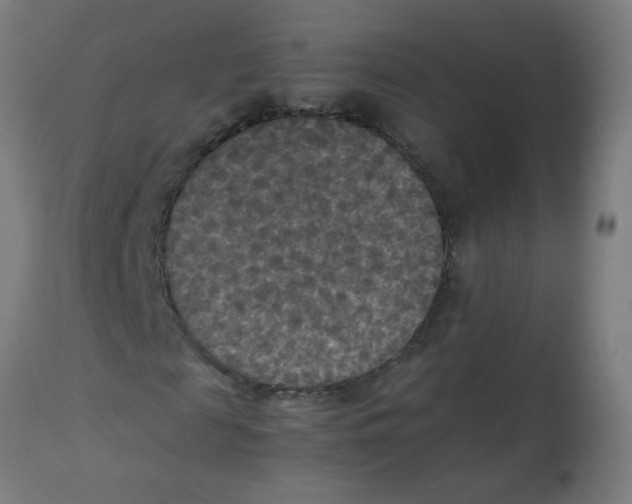 X0000113220817200910081339
