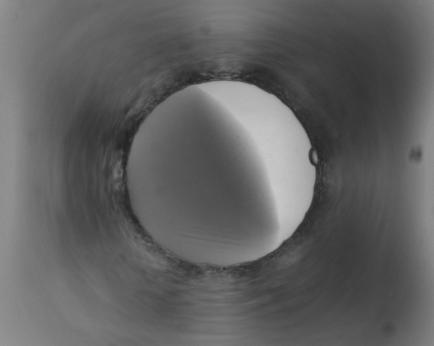X0000113220818200910081339