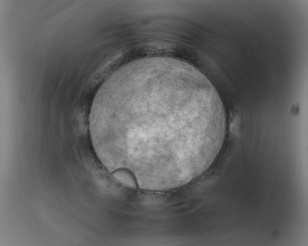 X0000113220819200910081339