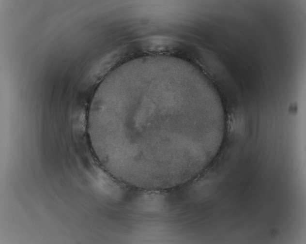 X0000113220820200910081339