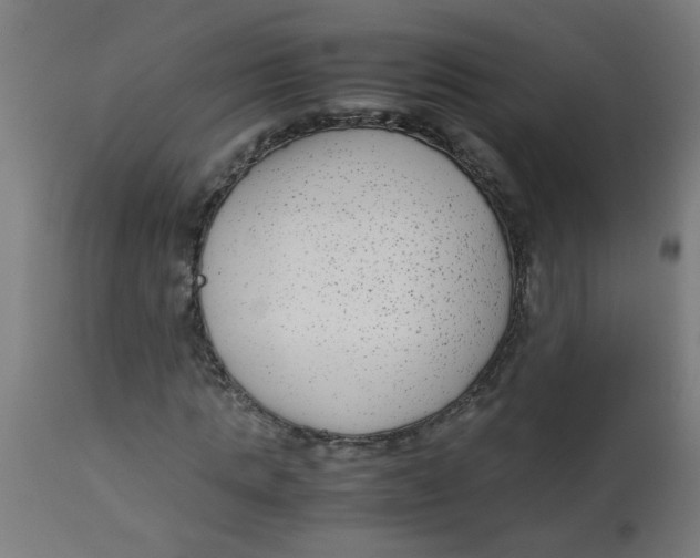 X0000113220821200910081339