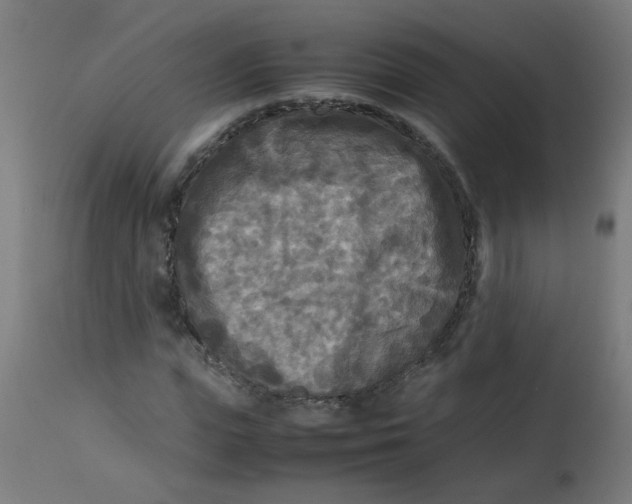X0000113220823200910081339