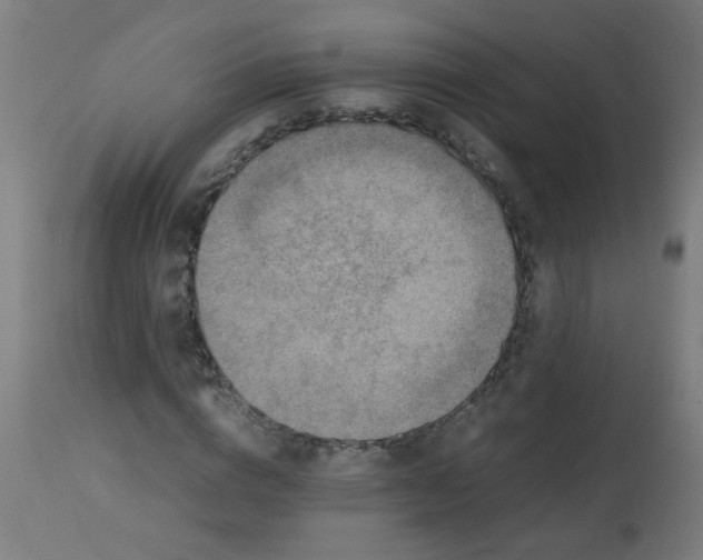X0000113220824200910081339