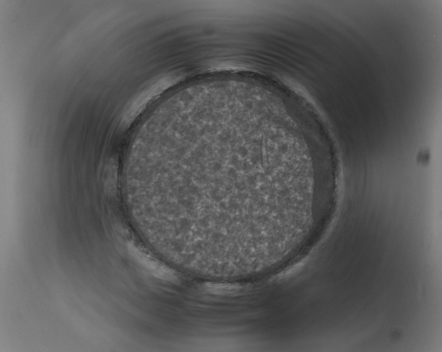 X0000113220825200910081339
