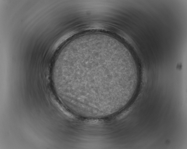 X0000113220826200910081339