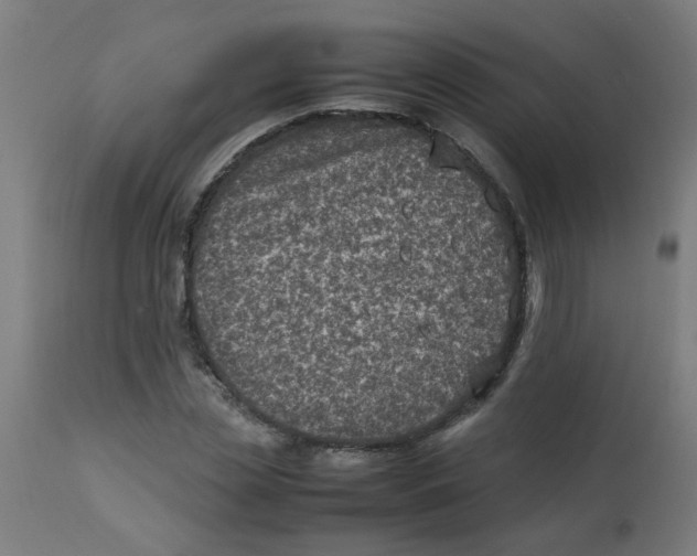 X0000113220829200910081339