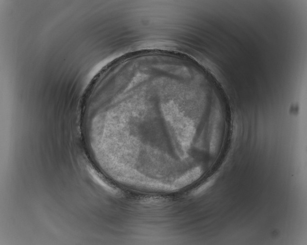 X0000113220830200910081339