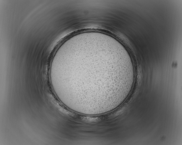 X0000113220831200910081339