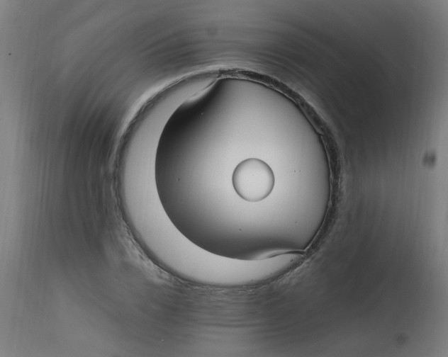 X0000113220832200910081339