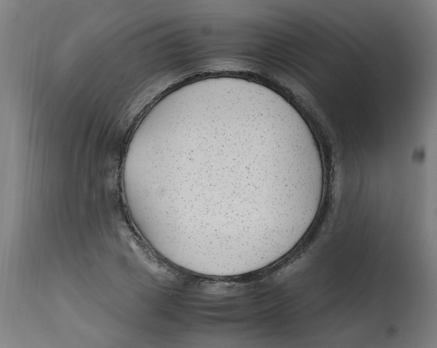 X0000113220833200910081339