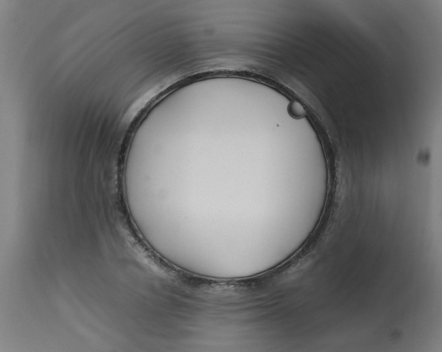 X0000113220834200910081339