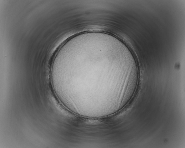 X0000113220835200910081339