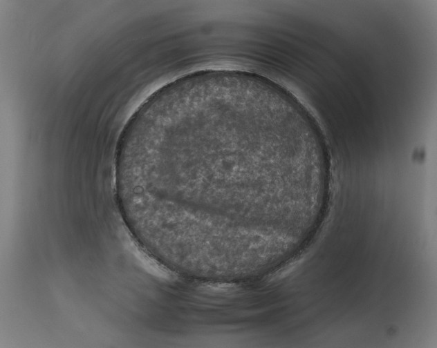 X0000113220837200910081339