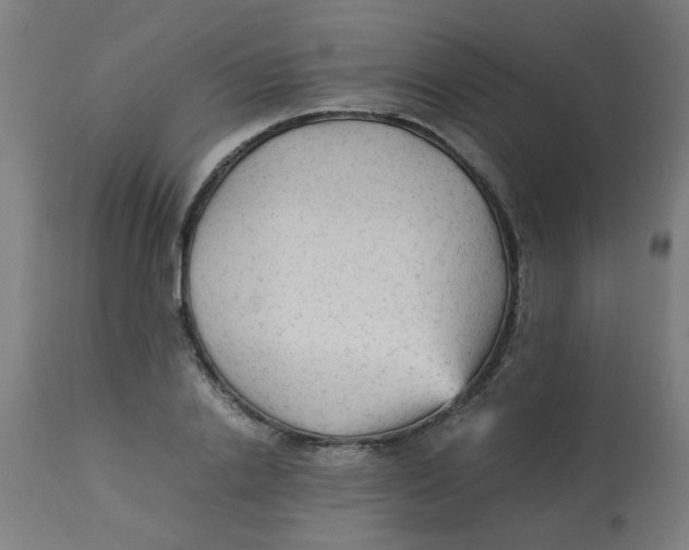 X0000113220838200910081339