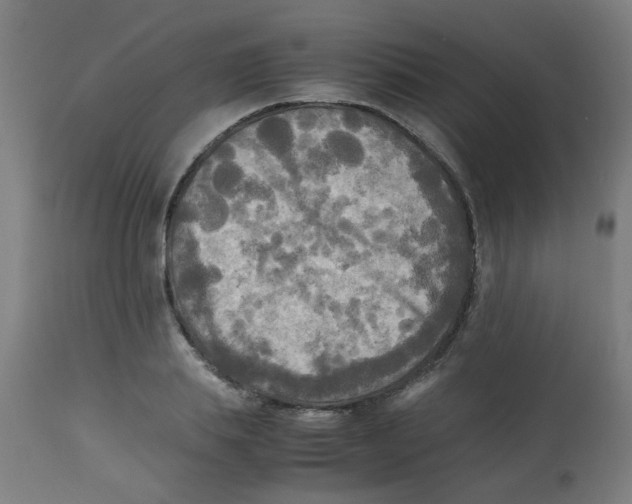 X0000113220839200910081339