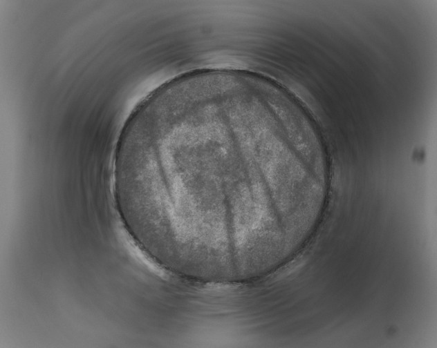 X0000113220840200910081339