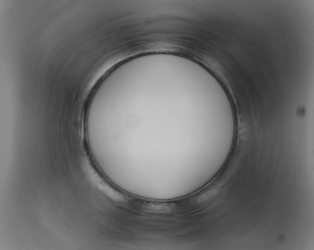 X0000113220843200910081339