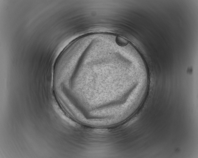 X0000113220844200910081339