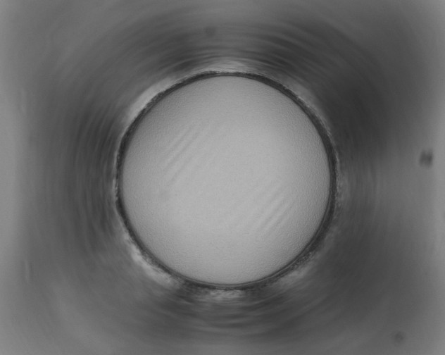 X0000113220845200910081339
