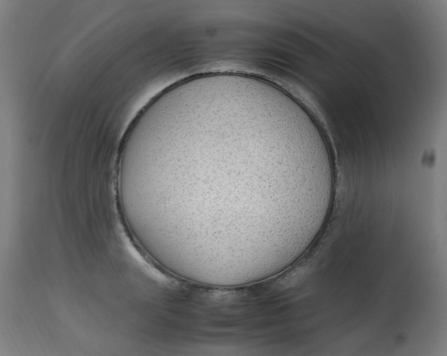 X0000113220847200910081340