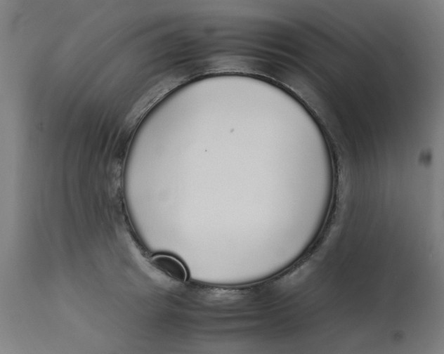 X0000113220849200910081340