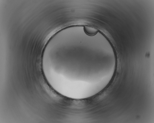 X0000113220850200910081340