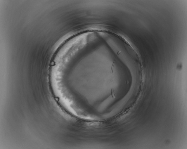 X0000113220853200910081340