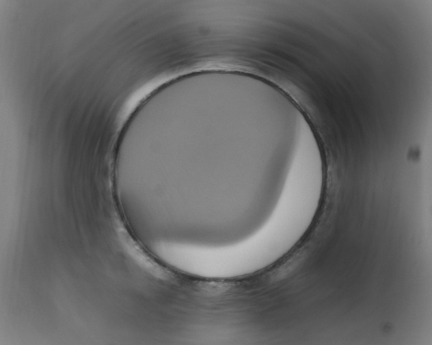X0000113220854200910081340