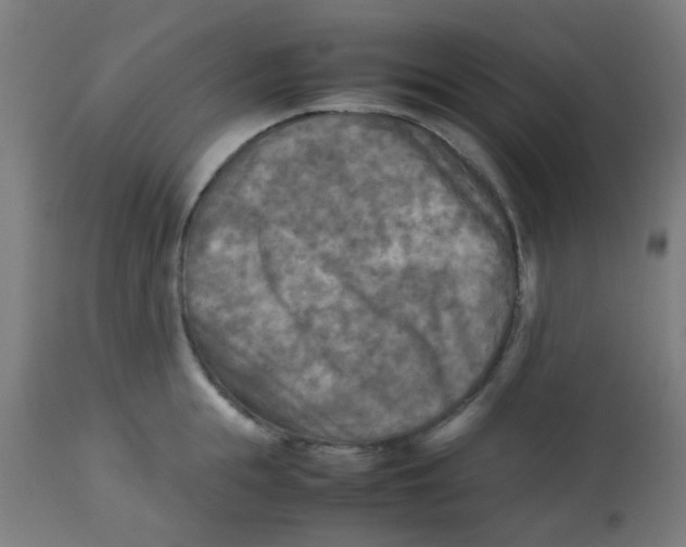 X0000113220855200910081340
