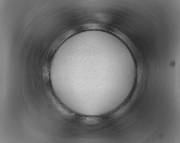 X0000113220857200910081340
