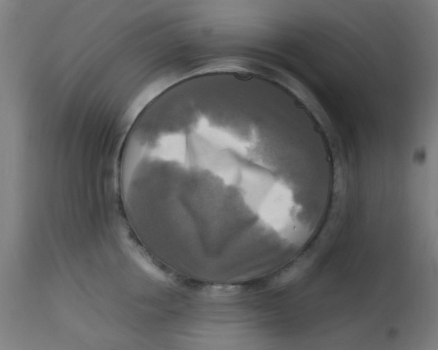 X0000113220858200910081340