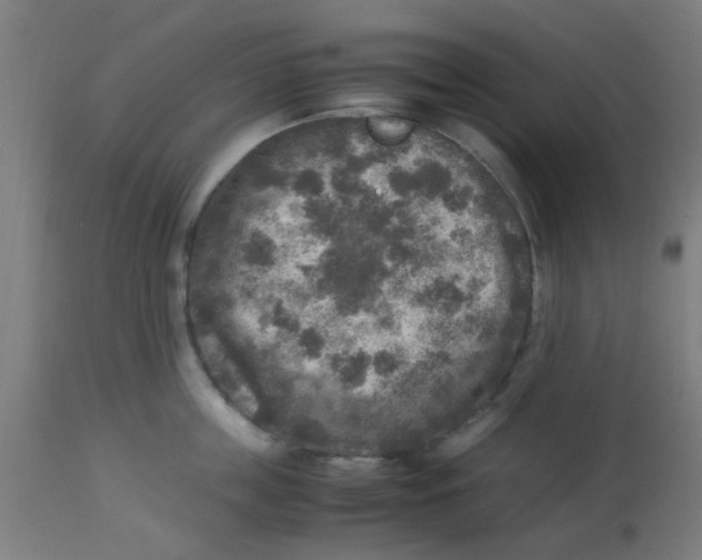 X0000113220859200910081340
