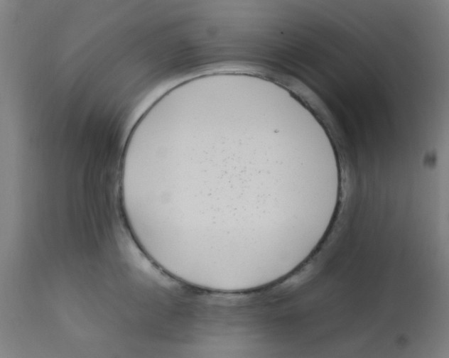 X0000113220860200910081340