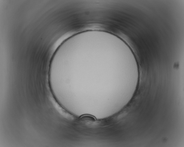 X0000113220861200910081340