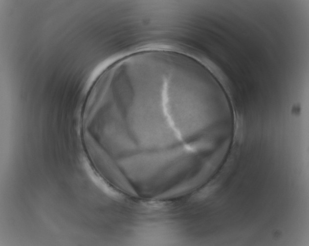 X0000113220862200910081340