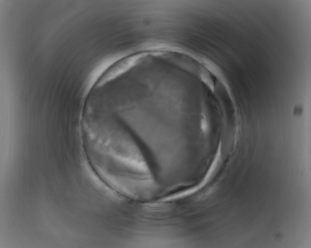 X0000113220863200910081340