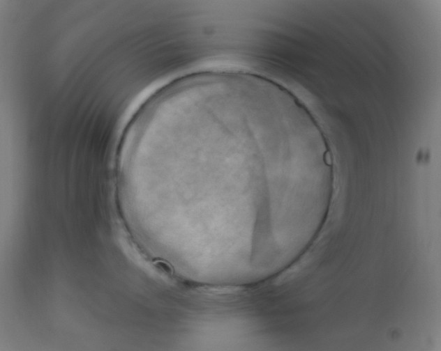 X0000113220864200910081340
