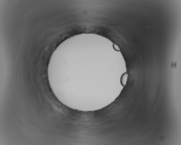 X0000113220865200910081339