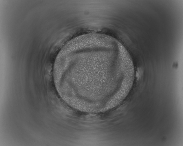 X0000113220867200910081339