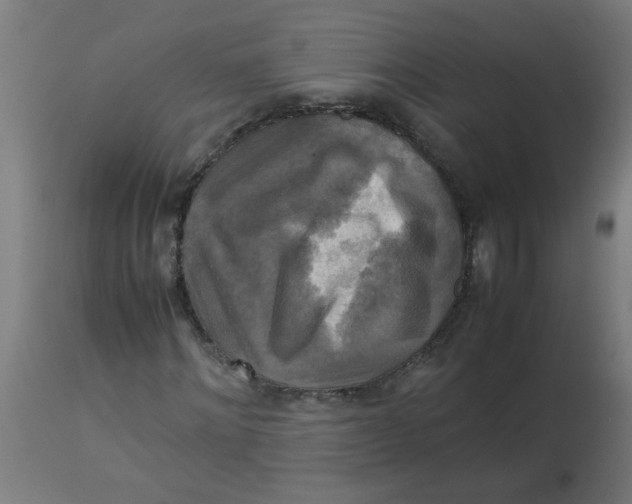 X0000113220868200910081339