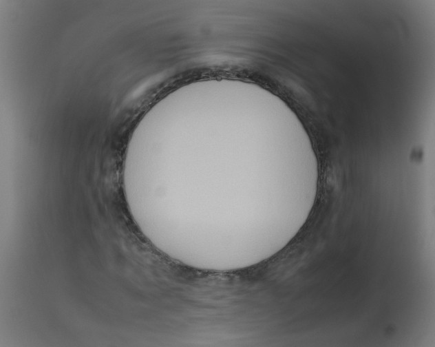 X0000113220869200910081339