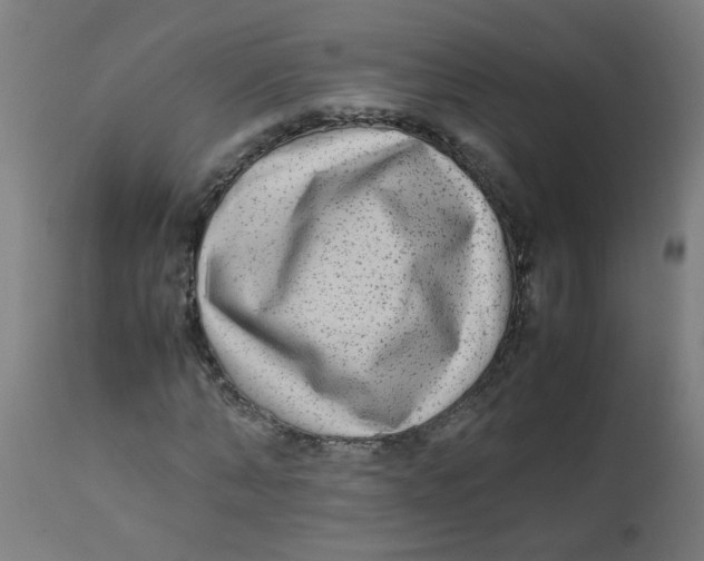 X0000113220870200910081339
