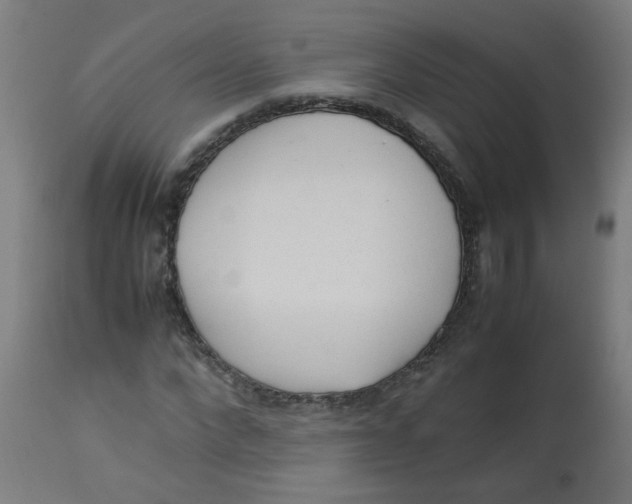 X0000113220872200910081339